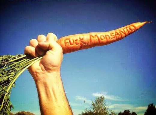 Monsanto 