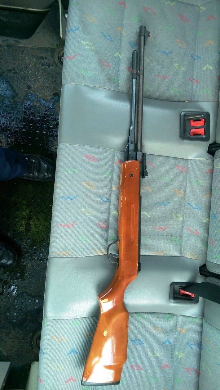 weitschussluftgewehr