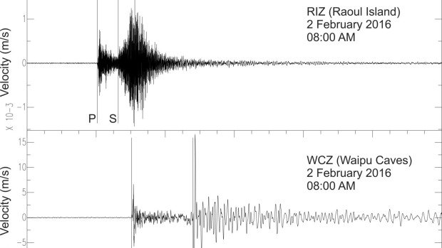 Seismic graphs show the earthquake waves at 8am on Tuesday detected by the northernmost seismographs.