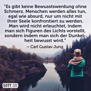 carl jung, zitat, bild des tages