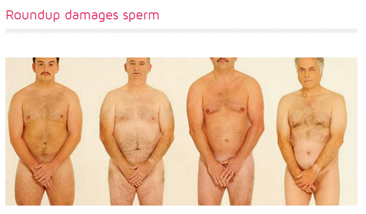 monsanto roundup schädigt spermien, nackte männer