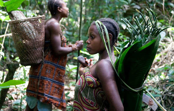 Eingeborene Baka-Pygmäen Kamerun