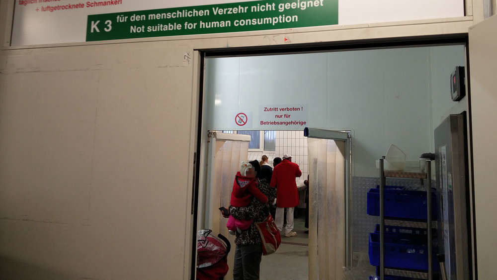 tierfutter flüchtlinge