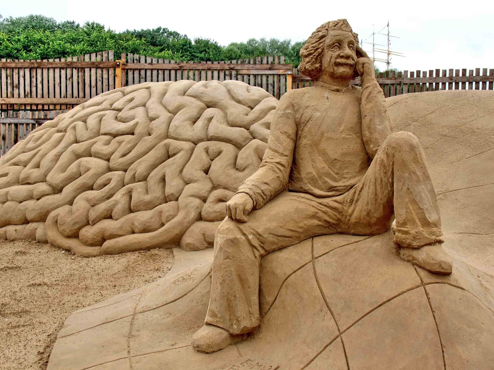 Einstein Sand brain