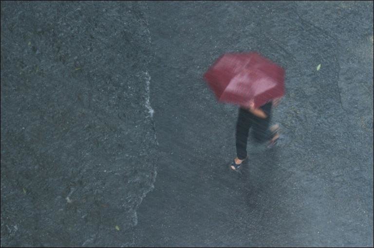 regenschirm