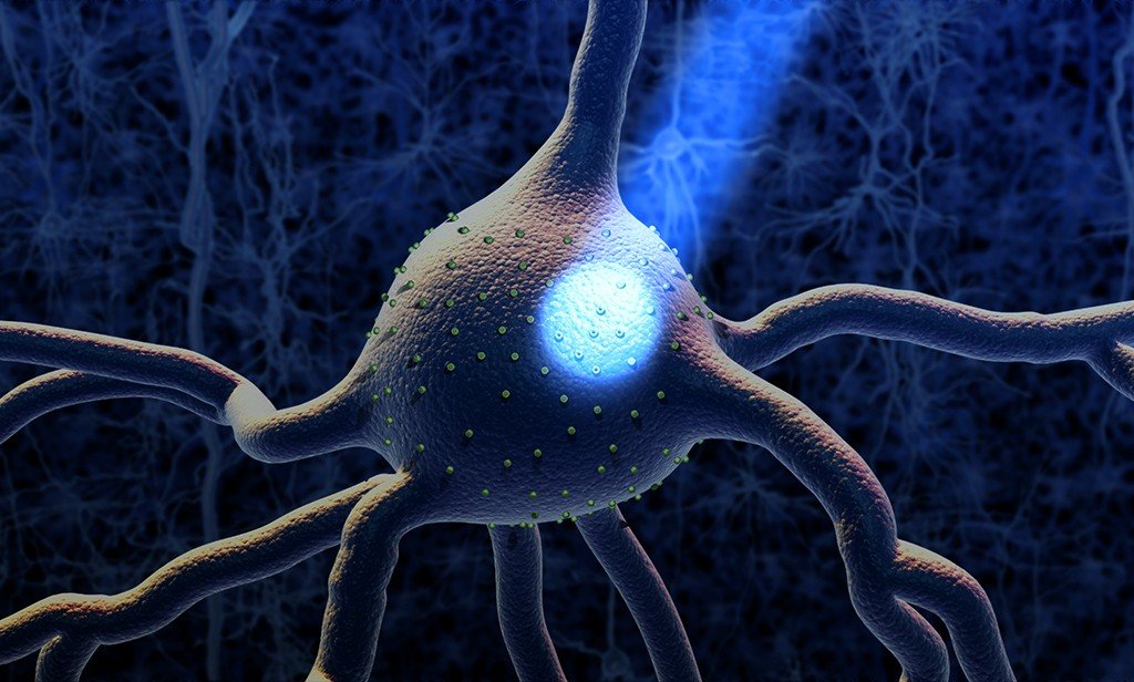 optogenetik