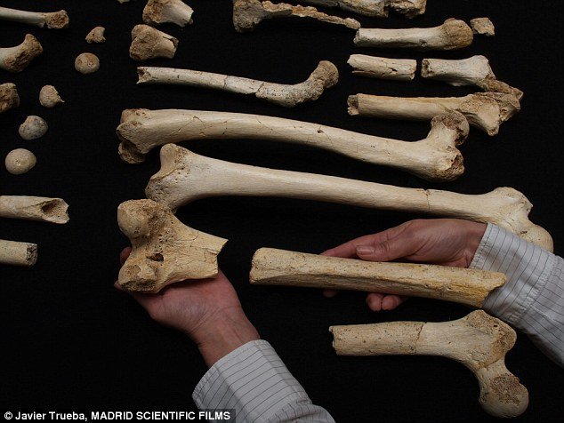 DNA Neandertaler in Spanien