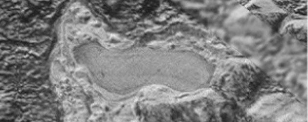 Pluto sea