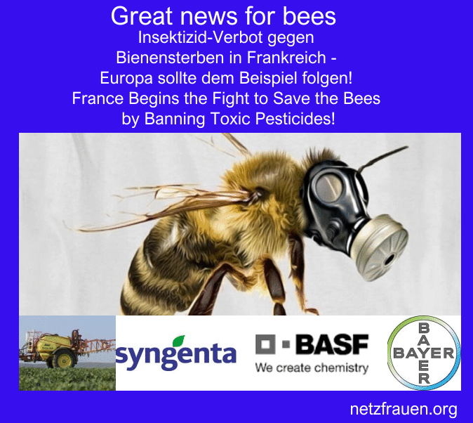 Insektizid-Verbot gegen Bienensterben frankreich