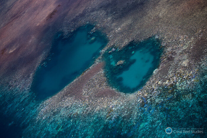 Korallenbleiche Great Barrier Reef