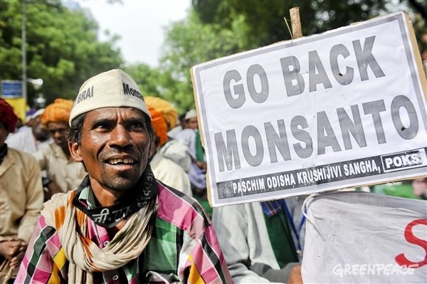 Klicken um zu vergrößern Protest gegen Monsanto Indien