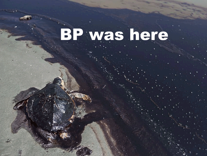bp oil deepwater horizon ölpest golf von mexiko