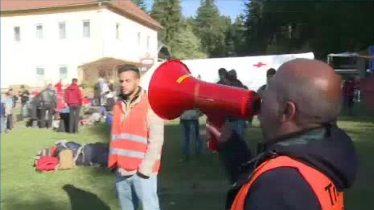 schweizer professoren