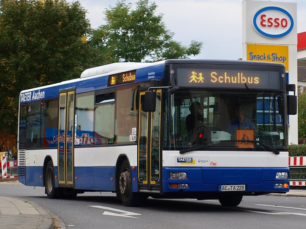 schulbus