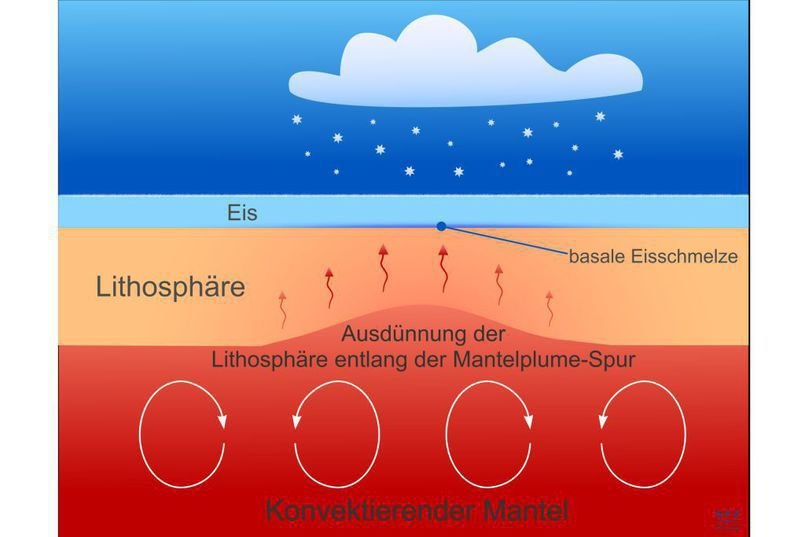 plume spur