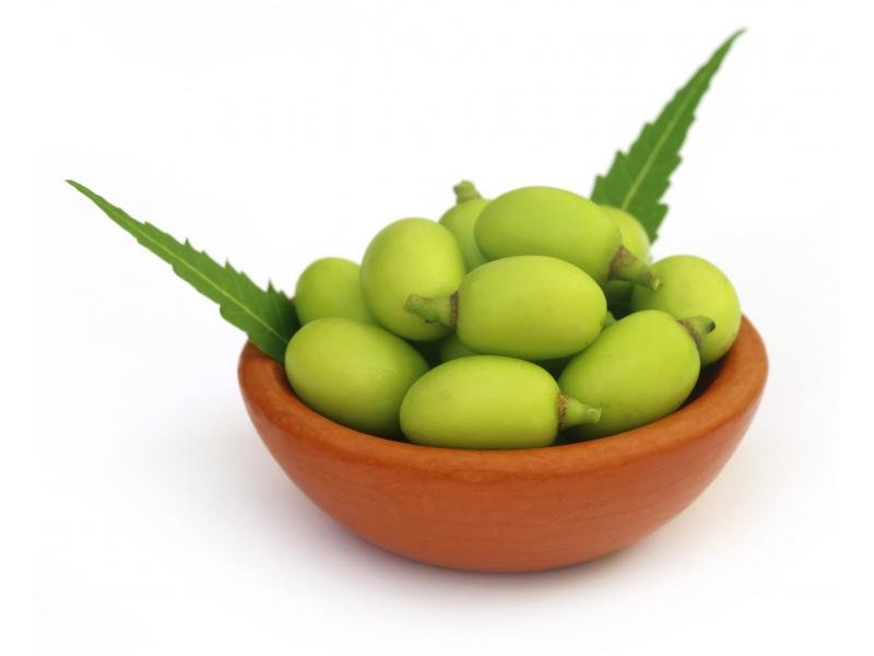 Niembaumfrüchte, Früchte Niembaum,Neem,Niem