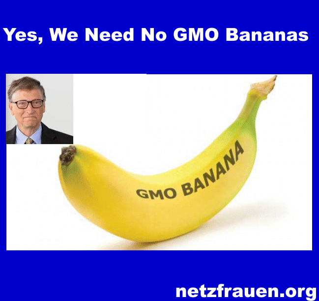 GMO Banane