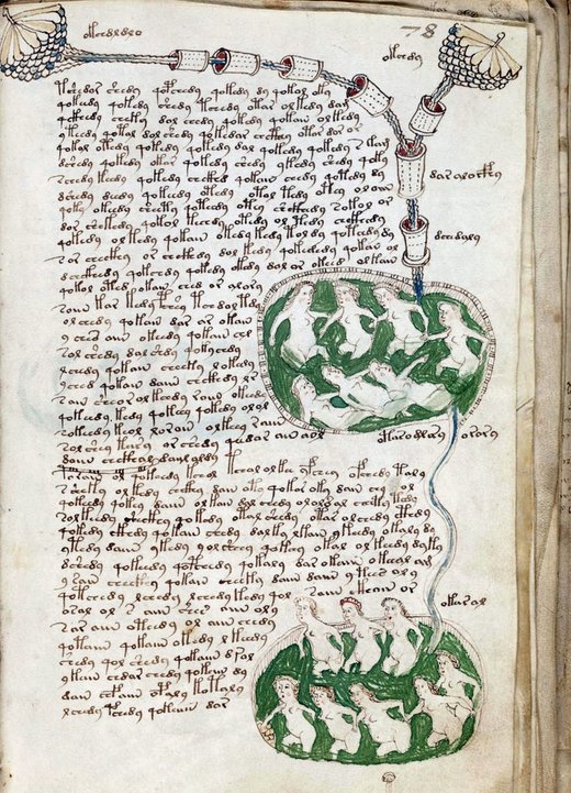 Voynich Manuskript Seite