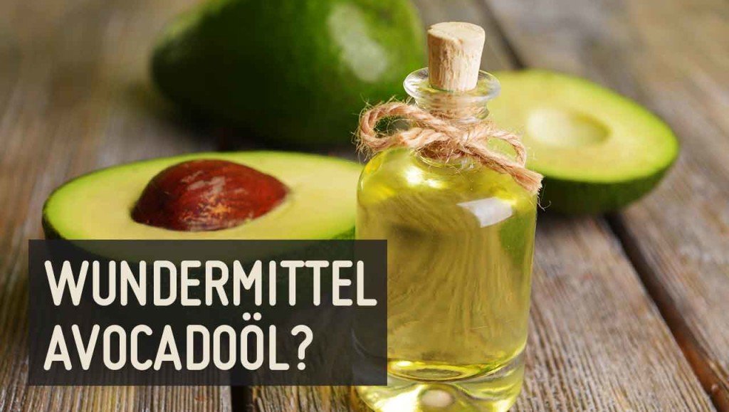 Avocado, Avocadoöl