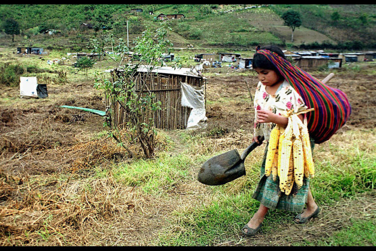 Kleinbauern Lateinamerika