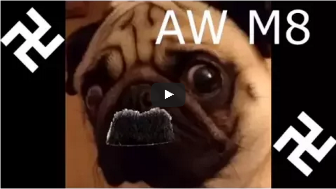 Mops mit Hitlergruß