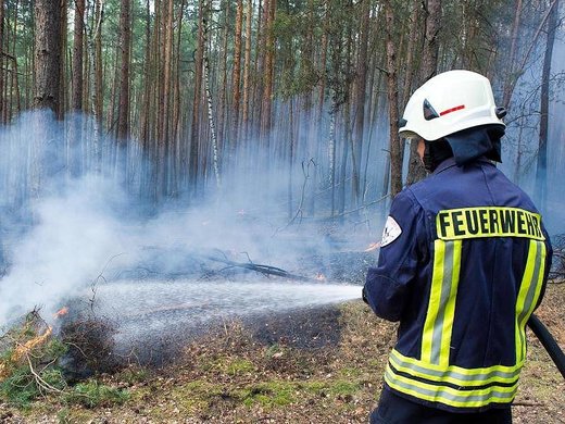 feuerwehr, waldbrand