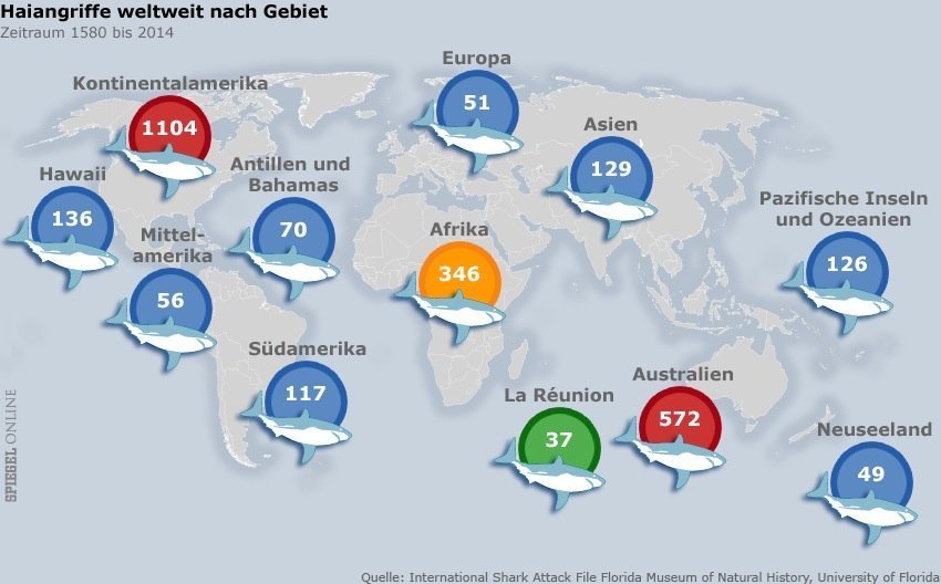 Mit gesamten Hai in die Klinik: Mädchen provozierte Hai und er biss