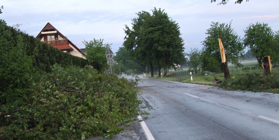 Abgeknickte Bäume und heruntergefallene Äste  in Porta Westfalica