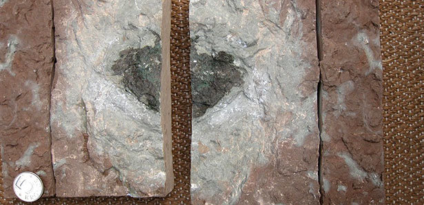 fossiler Meteorit