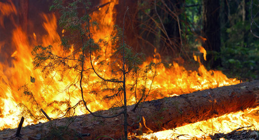 Feuer Türkei / Wildfire Turkey