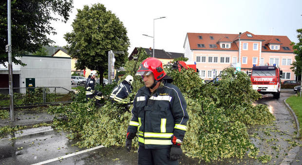 In Pinkafeld im Burgenland blockierten entwurzelte Bäume die Straßen 
