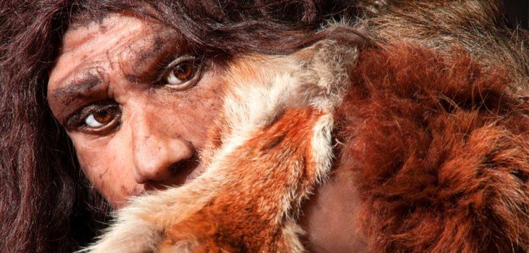 Neandertaler / Neanderthal