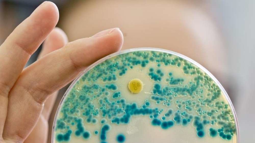 multiresistente bakterien
