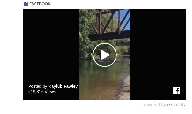 Video Eltern stoßen Kind von Brücke