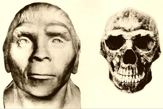 Rekonstruktion einer Peking-Frau nach einem späteren Schädelfund (rechts). Peking mensch / man