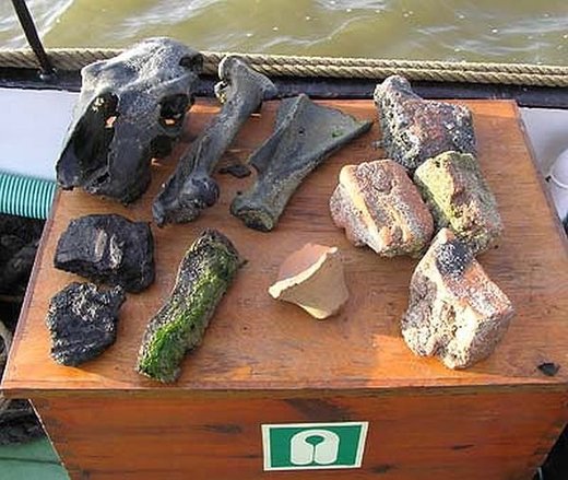Archäologische Fundstücke aus dem Watt - möglicherweise Relikte des sagenumwobenen Rungholt