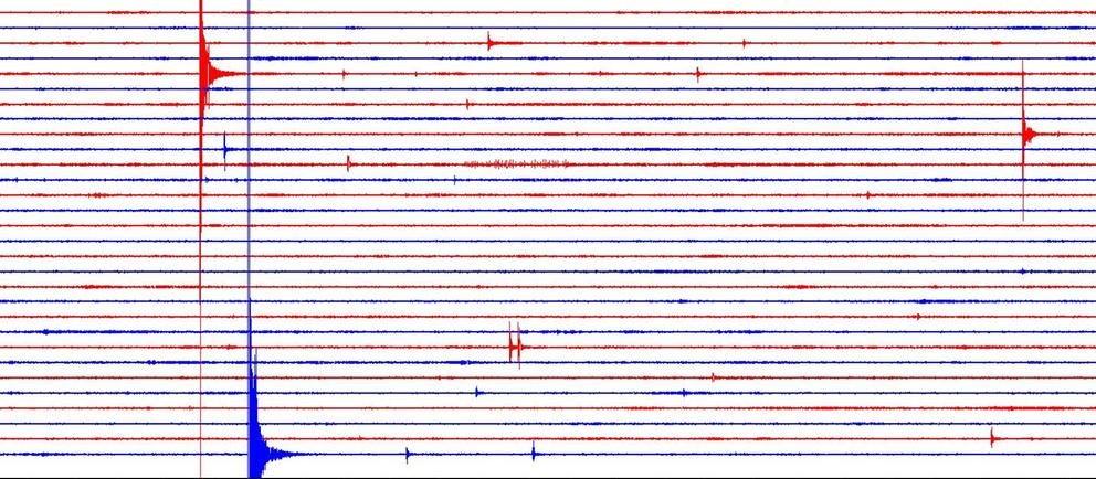 Der Ausschlag des Seismogramms zu Darmstadt ist deutlich sichtbar. Erdbeben