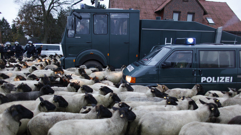 Polizisten Tierherde,Schafe Ziegen Polizei