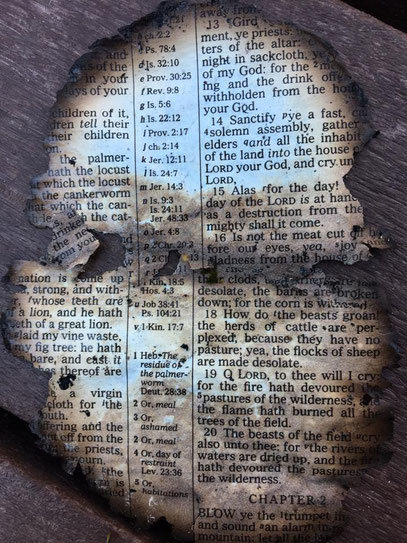selektiv verbrannte bibel