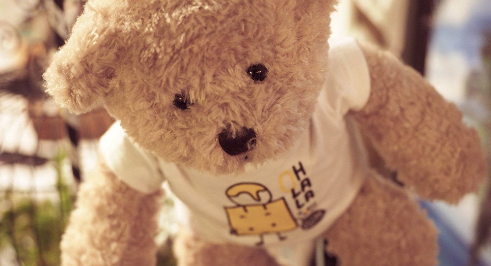 Teddybär, Kuscheltier