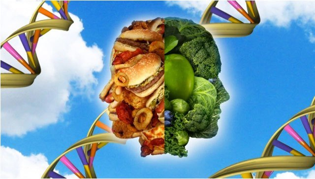 ernährung genetik gene