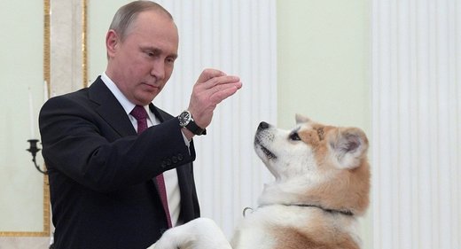 Putin Hund Dog Yume 