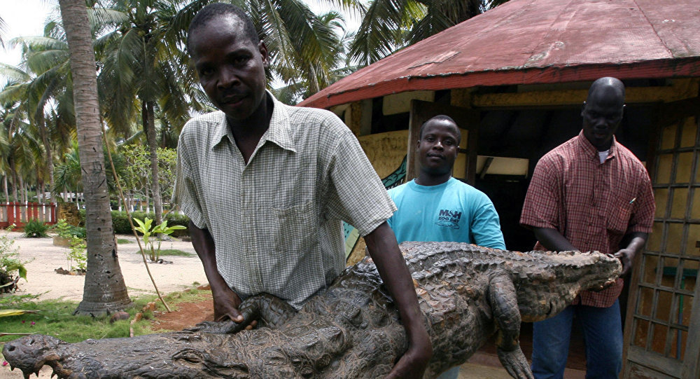 afrikanisches ritual mit krokodil