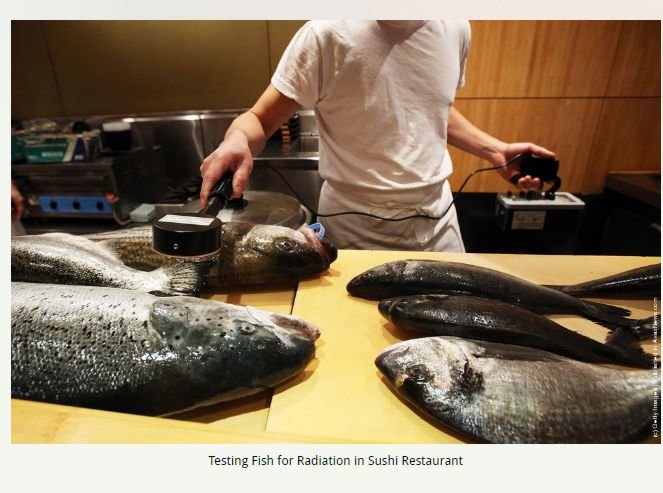 Fisch auf Radioaktivität testen im Sushi Restaurant