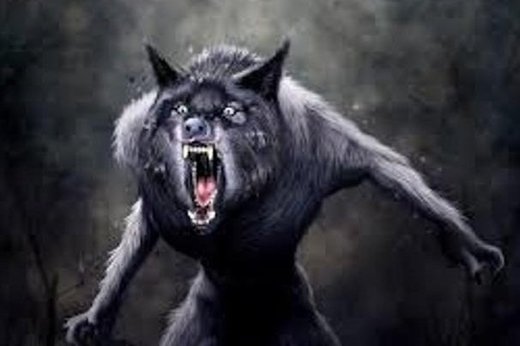 werwolf, cannock chase