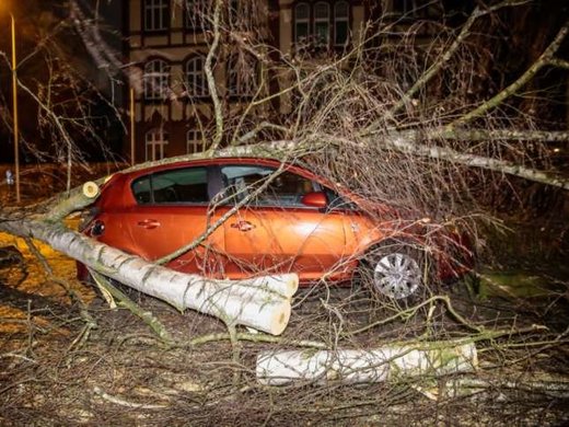 Ein wegen des Sturms auf ein Auto gestürzter Baum in Wiesbaden