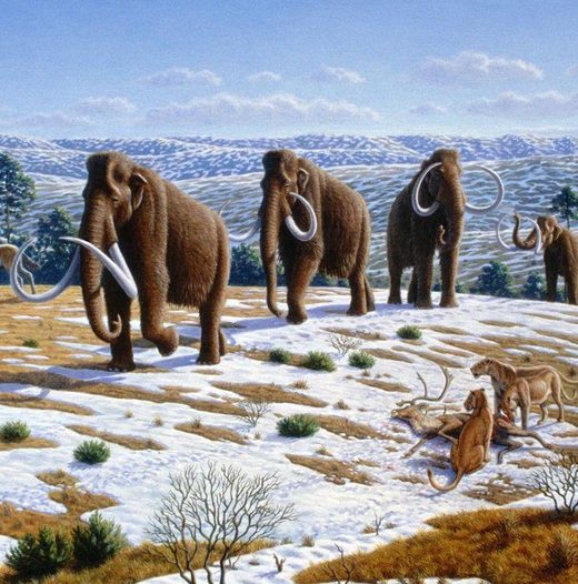 Rekonstruktion der letzten Kaltzeit. Eiszeit Mammut, ice age mammoth