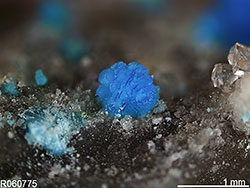 mikroskopische Kristalle Nevadait
