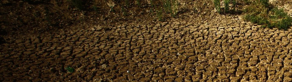 Dürre Kenia