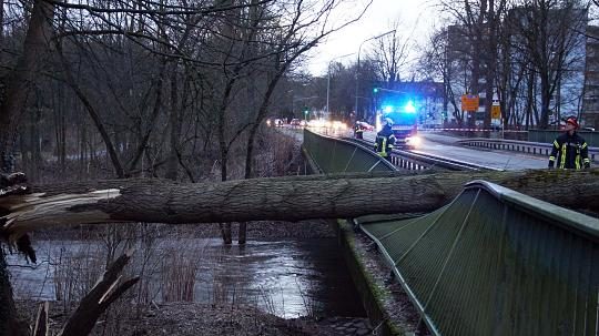 Baum stürzt auf Opladener